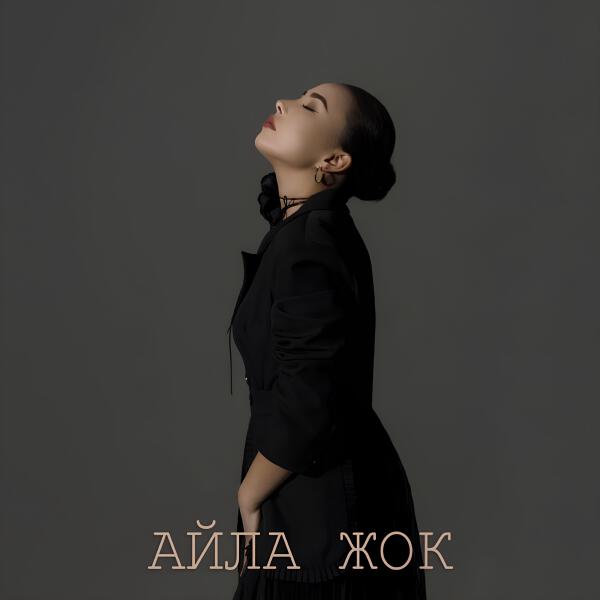 Аяна Касымова - Айла жок