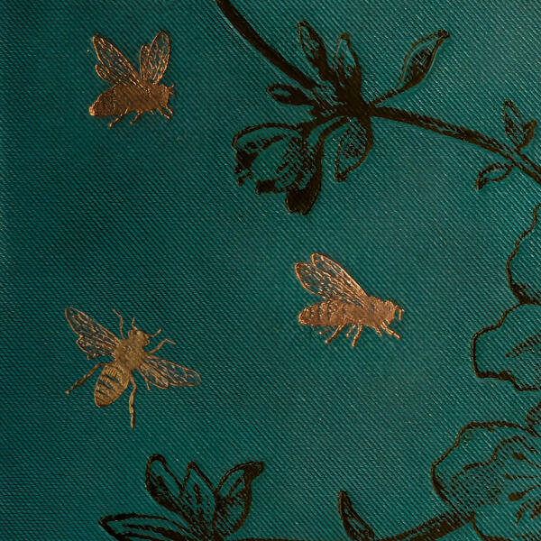 СНОУФОЛ - Х1т1н