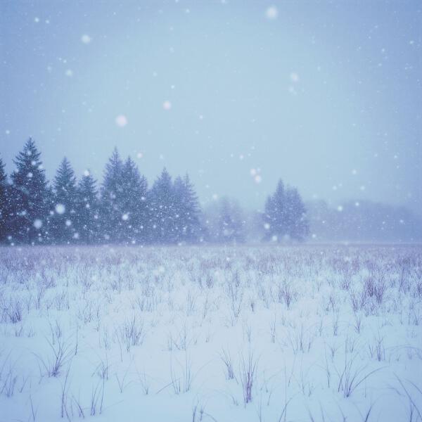 Moook - Hello, Winter!