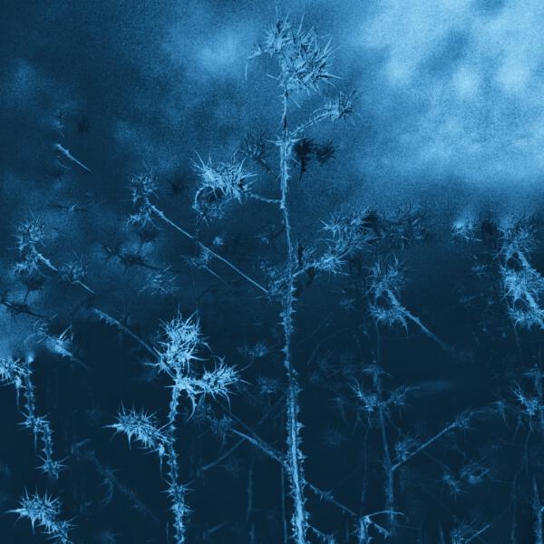 DJ Monsy, genotauz - Nanana