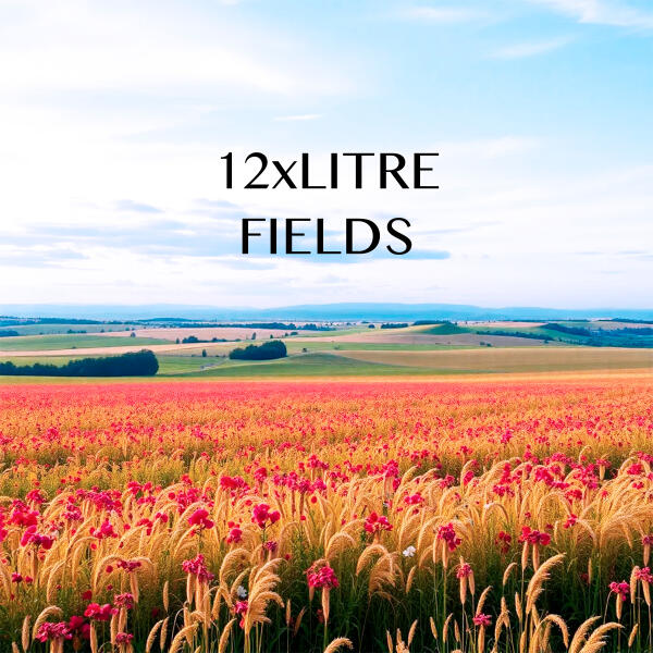12xLITRE - Fields