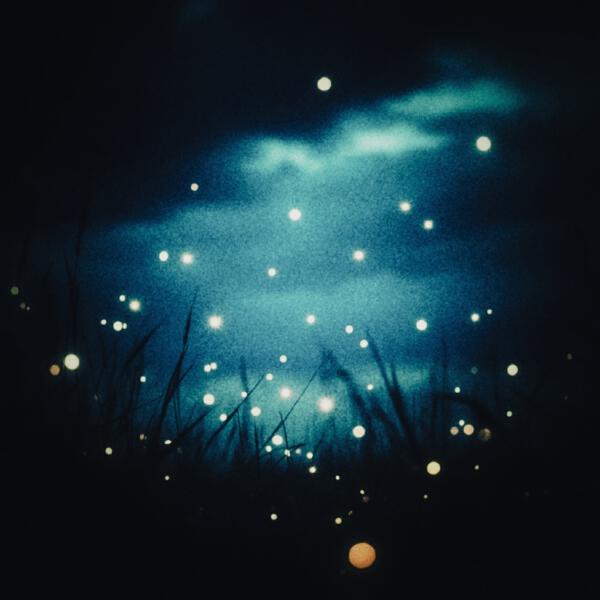 DJ Creepy, Deep House - Fireflies