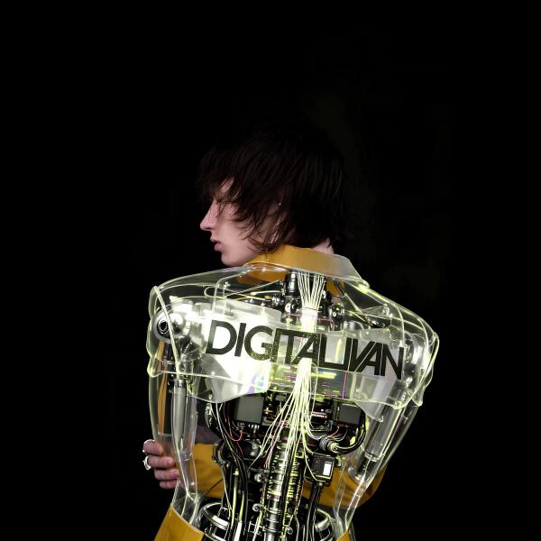 Digital Ivan - Heartbreaker