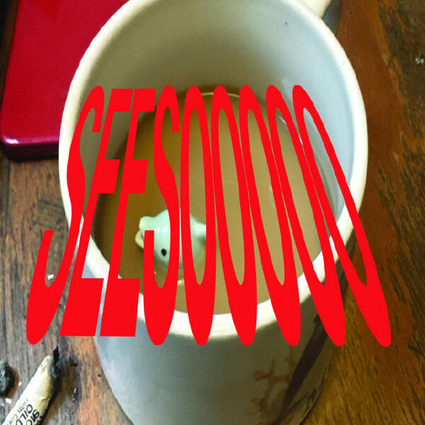 Sophia Stel, SEES00000 - NEMO