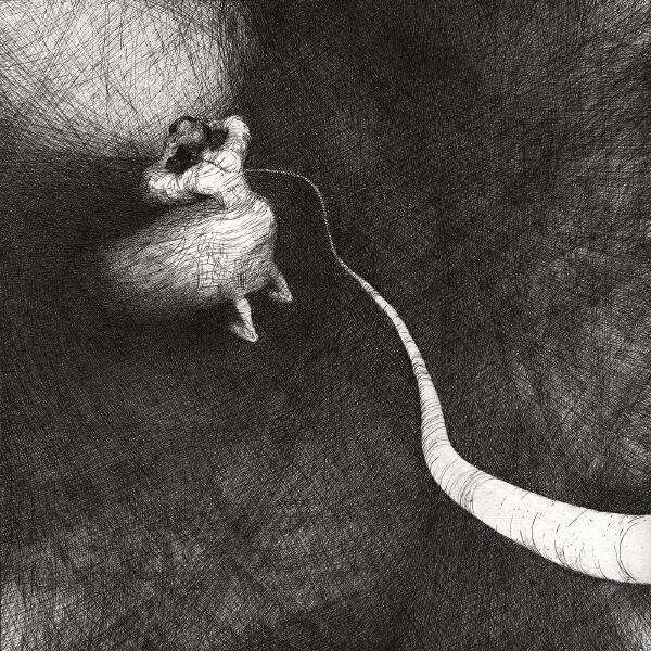 Полюса - Привет из жёлтого дубая