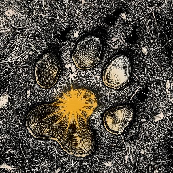 Гакрукс - Рождённый