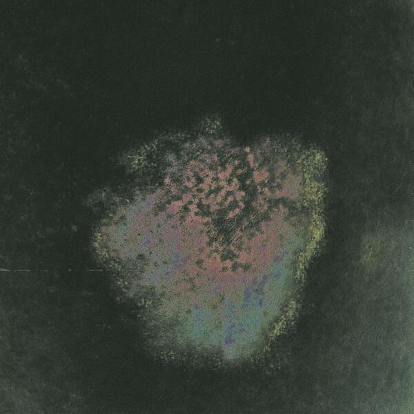 NOT KELIN - Тварь