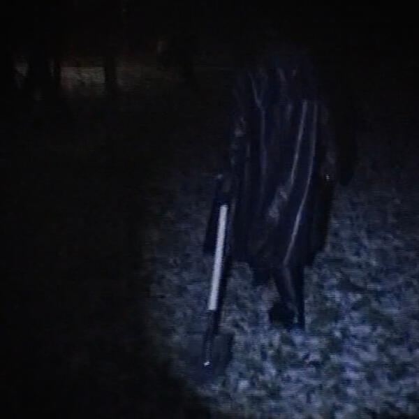 ПАНКУША - твоя моя любовь