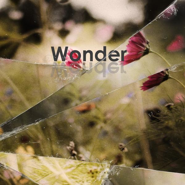 Echo Collective, Margaret Hermant, Neil Leiter - Wonder