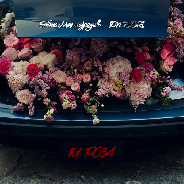 Бабек Мамедрзаев, Ion Zegri - 101 роза