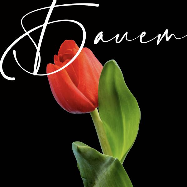 musica di strada - Балет