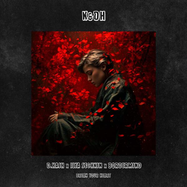 D.HASH, ILYA SECHKIN, BORDERMIND - Break Your Heart