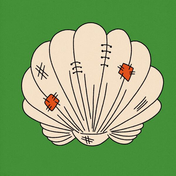 Anything Helps - Shelter