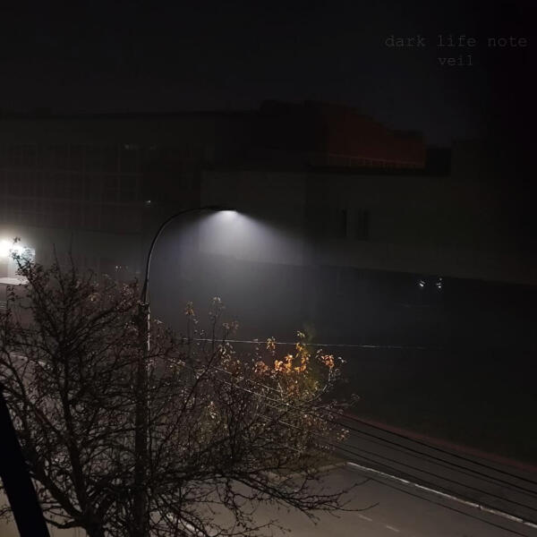 Dark Life Note - Veil