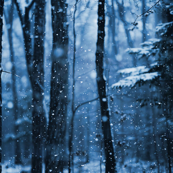 Iamalone - Let It Snow