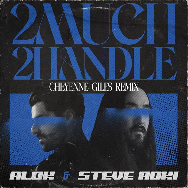 Alok, Steve Aoki - 2 Much 2 Handle (Cheyenne Giles Remix)