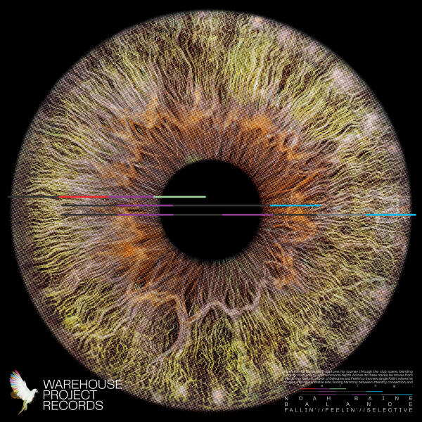 Noah Baine - Fallin'