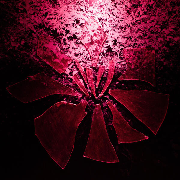 yourneck - Последние годы