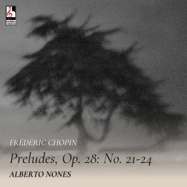 Alberto Nones - Preludes, Op. 28: No. 22 in G Minor, Molto agitato