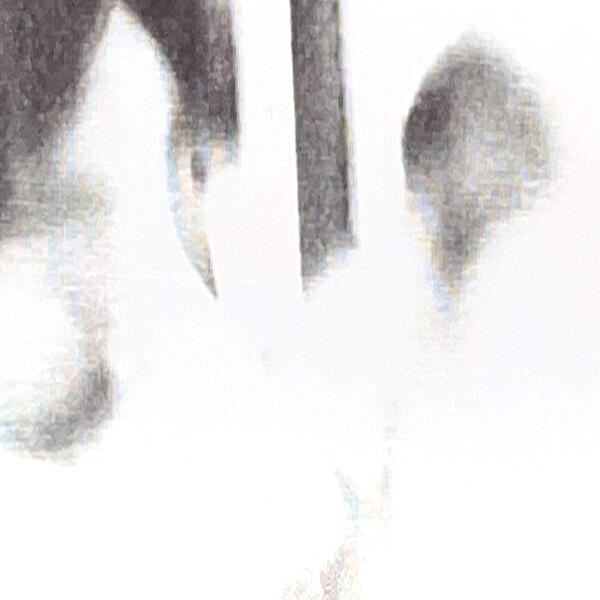 Horse Vision - You Could Have It