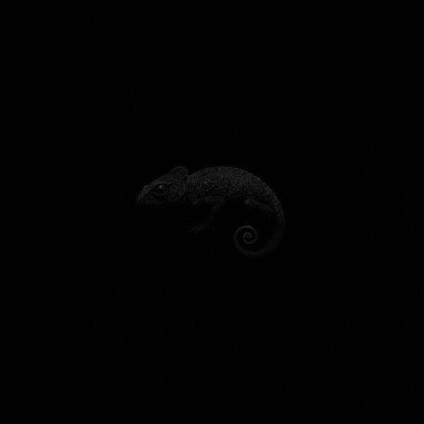 Danny Farro - NO MATTER