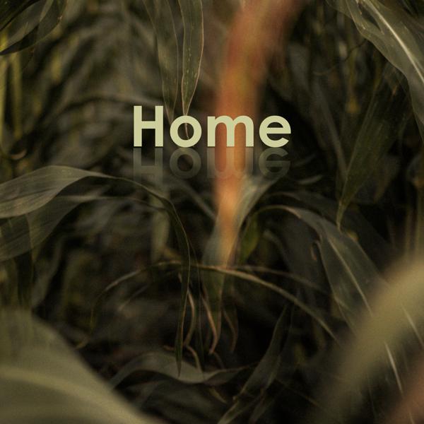 Echo Collective, Margaret Hermant, Neil Leiter - Home