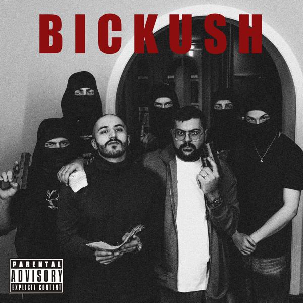 Moneykush - BICKUSH