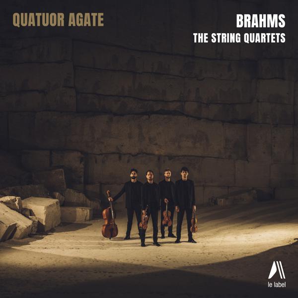 Quatuor Agate - String Quartet No. 1 in C Minor, Op. 51: III. Allegretto molto moderato e comodo