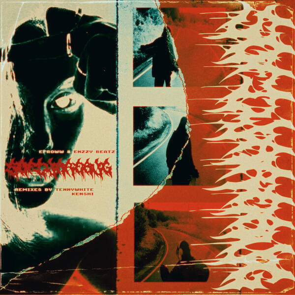 efroww - Softwarebug