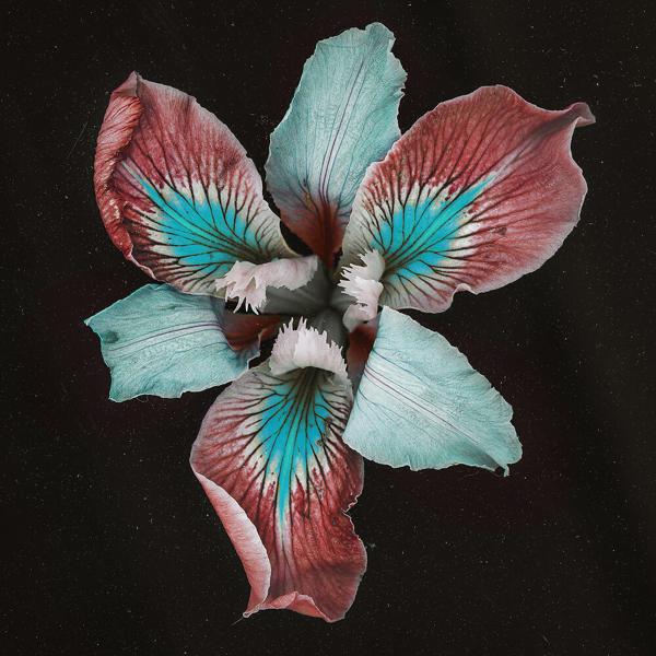 Tor - Eleuthera (Catching Flies Remix)