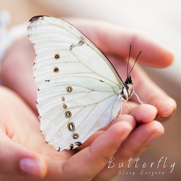 Sleep Surgeon - Butterfly