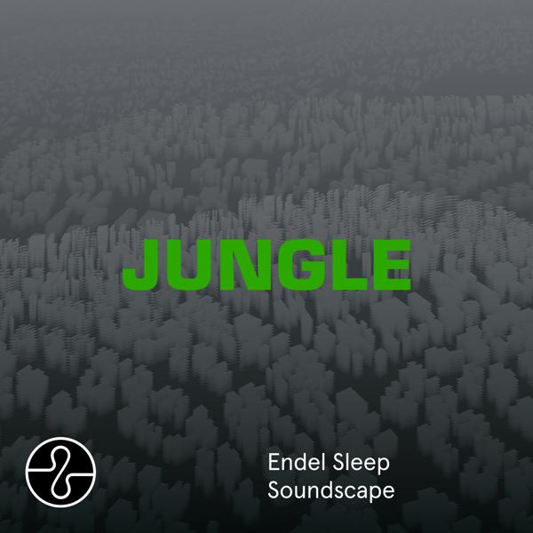 The Blaze - JUNGLE