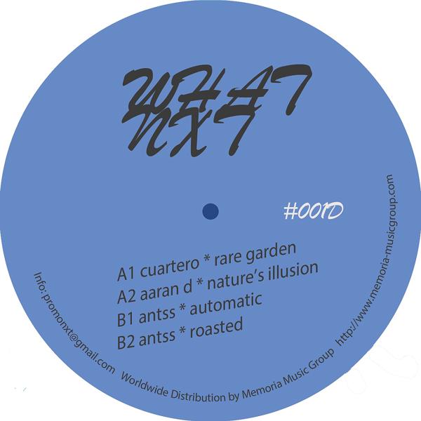 Aaran D - Nature's Illusion