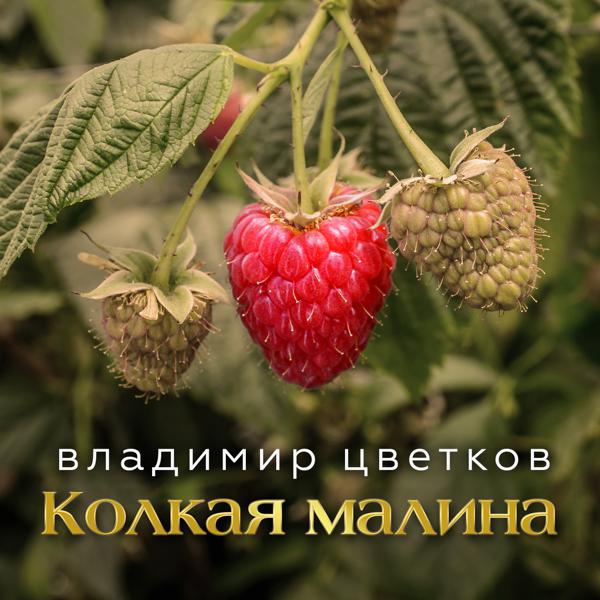 Владимир Цветков - Колкая малина