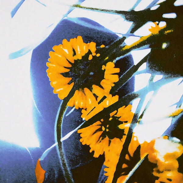 Sunsay - Гра