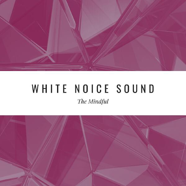 The Mindful - Distant Noises