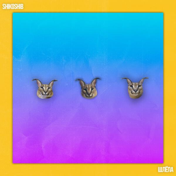 shikoshib - Шлёпа
