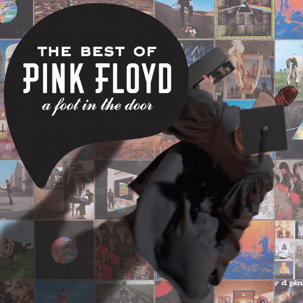 Pink Floyd - Learning to Fly