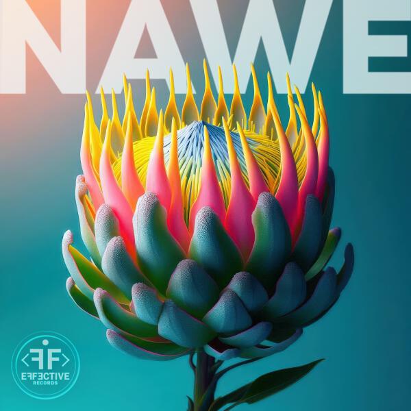 SYNFLO - Nawe