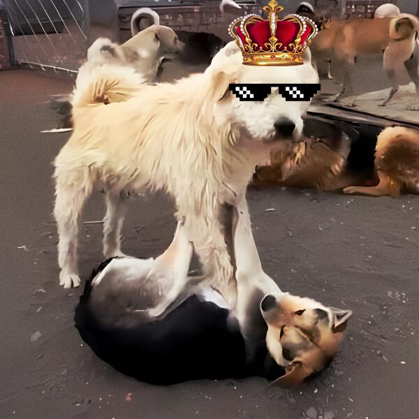 BRAZILIAN MASTER - King Charles The Alpha Dog (Ultra Slowed)