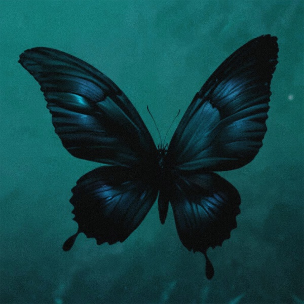 Ashess, vishæs - butterfly effect (Spedup)
