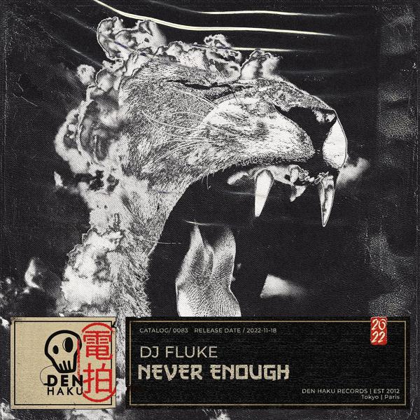 DJ Fluke - Never Enough