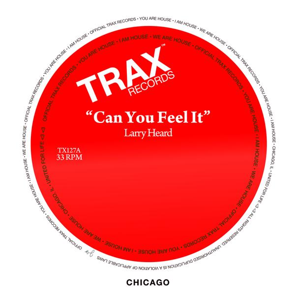 Larry Heard - Can You Feel It