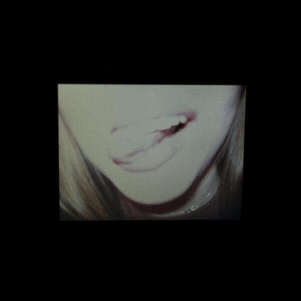 AVINA - 11