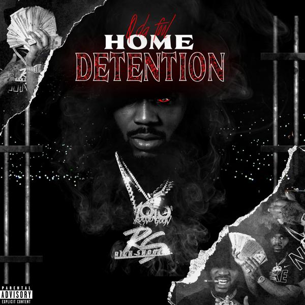 Q Da Fool - Home Detention