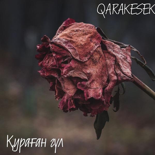 Qarakesek - Қураған гүл