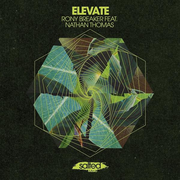 Rony Breaker, Nathan Thomas - Elevate (Miguel Migs Salty Space Dub)