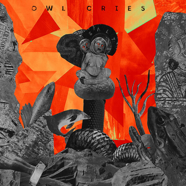 Owl Cries - Lucid Dreams