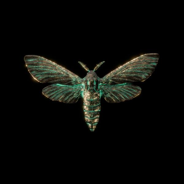 Imminence, Holding Absence, Lucas Woodland - Death by a Thousand Cuts (Feat. Lucas Woodland)