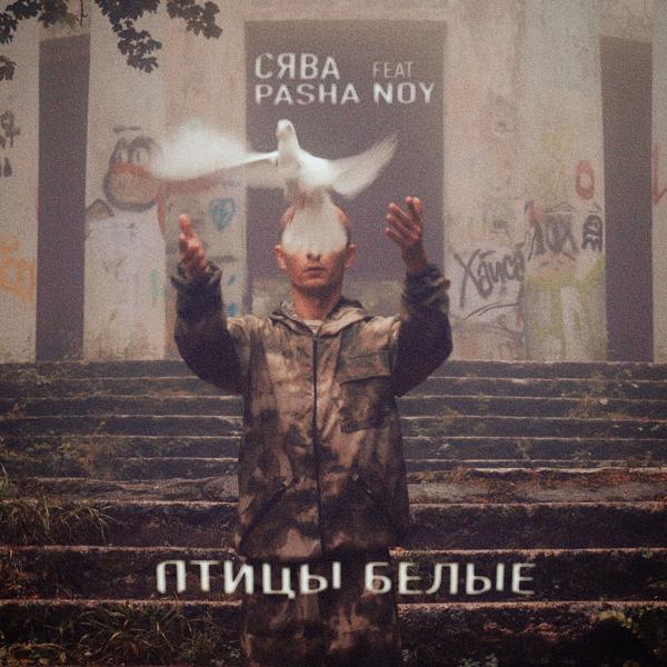 Сява, Pasha Noy - Птицы Белые